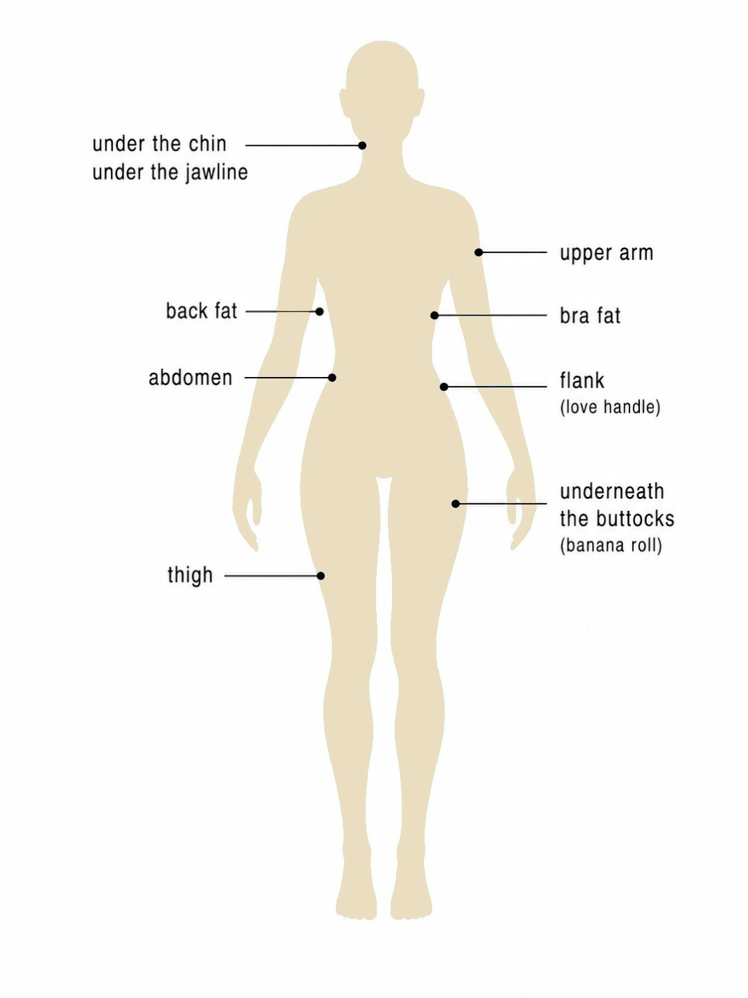 CoolSculpting treatment-area illustration identifying chin, jawline, upper arms, bra area, back, abdomen, flanks, thighs and below the buttocks